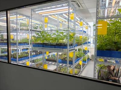 江蘇南通:細(xì)胞里建工廠?馬鈴薯變身“打工人”?探秘智能生物制造產(chǎn)業(yè)“奇幻世界”