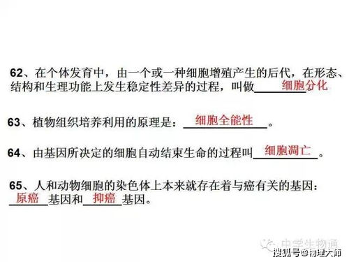 高中生物 復(fù)習(xí)資料,基礎(chǔ)知識(shí)一篇打盡
