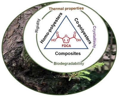 IF:5.0,連續(xù)5年增長!致力于聚合物科學(xué)發(fā)展--Polymers | MDPI 期刊推薦